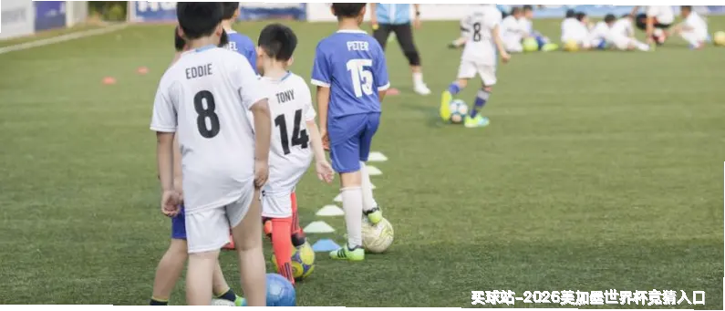 从热爱到使命