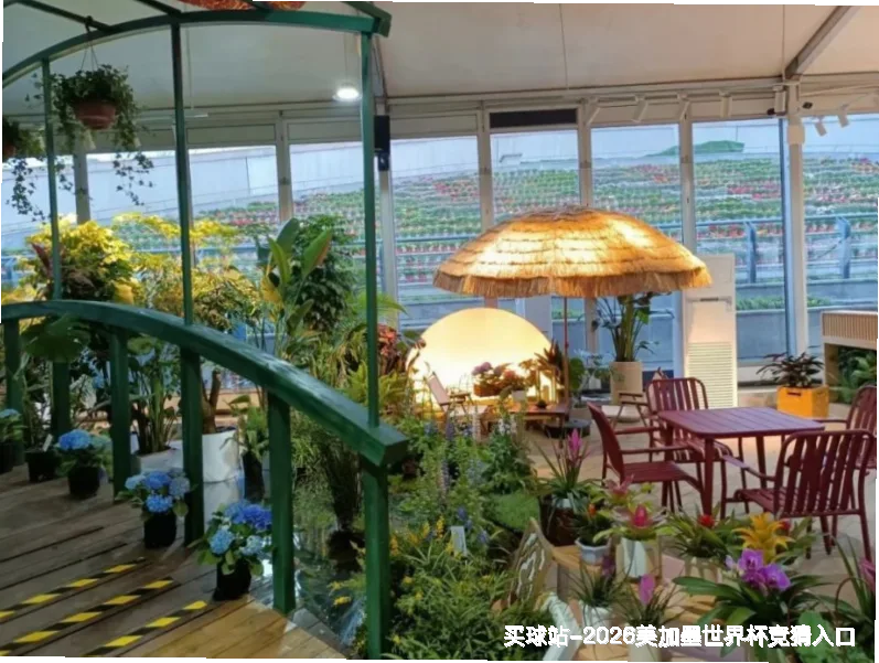 资深分析师与数据科学家